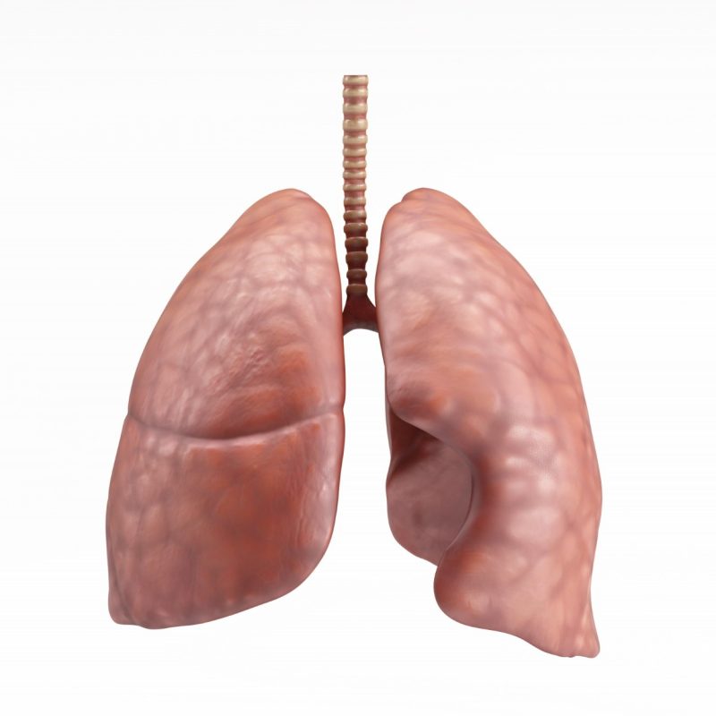 Lung Cancer